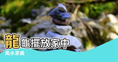 硃砂龍龜功效|【硨磲功效大全】硨磲強大磁場能量+硨磲佩戴禁忌一。